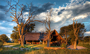 Bomani Tented Lodge - Hwange National Park, Zimbabwe