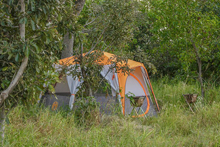 Tent - On Foot Through Botswana | Botswana Safaris & Tours