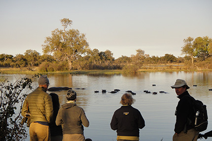 Watching hippos - On Foot Through Botswana | Botswana Safaris & Tours