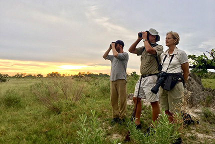 Searching for wild animals - On Foot Through Botswana | Botswana Safaris & Tours