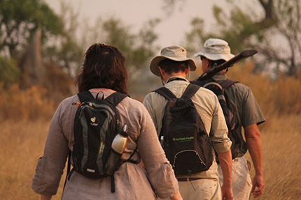 Walking safari - On Foot Through Botswana | Botswana Safaris & Tours
