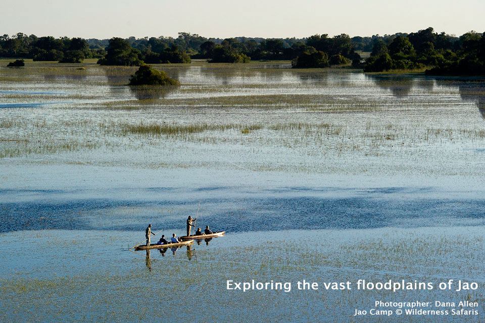 Explore Floodplains around Jao Camp in Okavango Delta