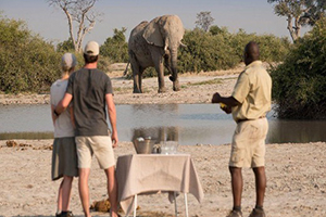 Africa Discovery Botswana 3plus-4 Star Safari