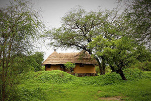 Tinga Camp - Zakouma National Park