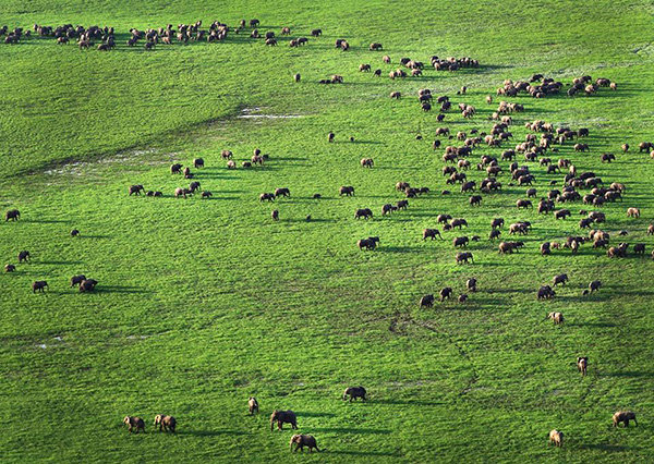 Zakouma National Park