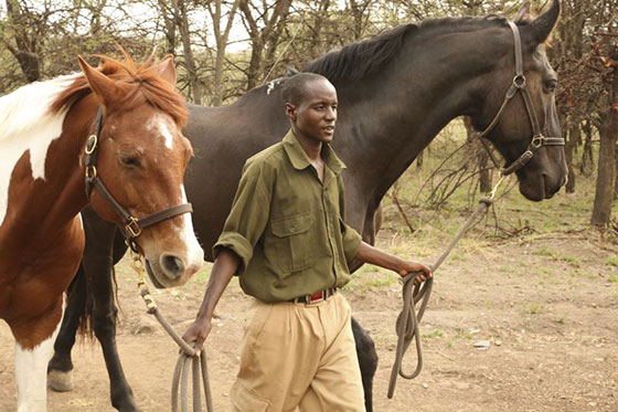 Horeses - Ride Kenya – Mara
