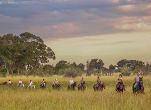 7 Nights Okavango Delta Ride