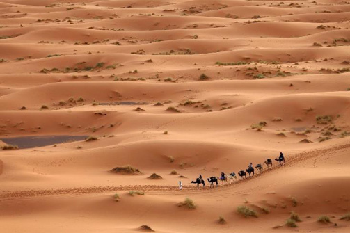 Sahara Desert - Discover Morocco