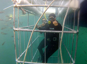 Great White Shark Cage Diving, Seal Island - False Bay, South Africa