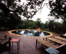 Jaci's Tree Lodge - Madikwe Game Reserve - South Africa Safari Lodge