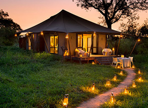 andBeyond Ngala Tented Camp in Kruger National Park