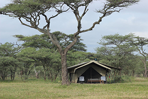 Ndutu Wilderness Camp - Ndutu, Tanzania