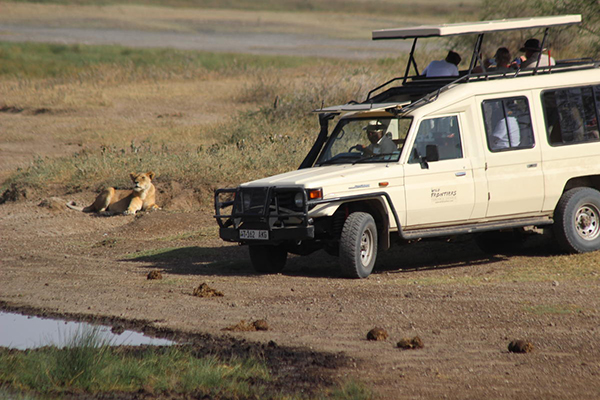 Land Cruiser used for game-viewing