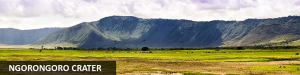 Ngorongoro crater