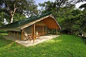 Ishasha Wilderness Camp in Queen Elizabeth National Park, Uganda