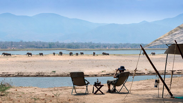 Elephants closed to our camp - Authentic Mana Pools Safari - Zimbabwe