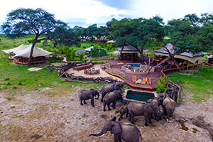 Somalisa Acacia Camp in Hwange  National Park, Zimbabwe